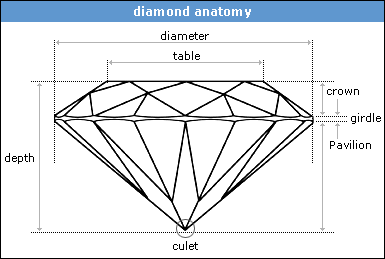 cutanatomy